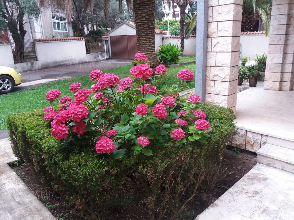 Bravo Apartmani Budva Dış mekan fotoğraf